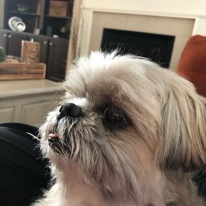 Meet your Posher, Renae